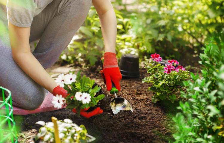 Entreprise entretien jardin à Saint-Pierre-en-Auge