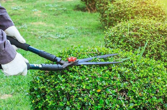 Entreprise d’entretien de jardins à Cabourg