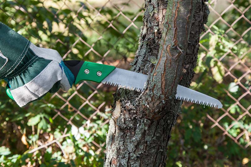 Élagage Abattage Arbre Mézidon Vallée d'Auge