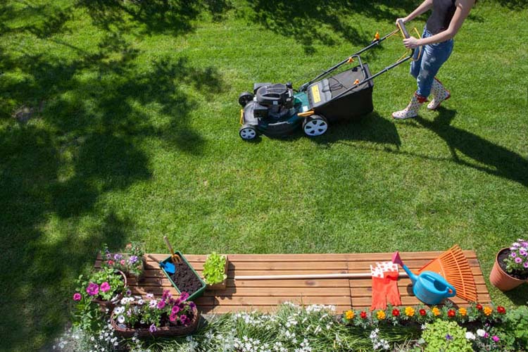 Comment concevoir un plan d'aménagement paysager à Mézidon Vallée d'Auge ?